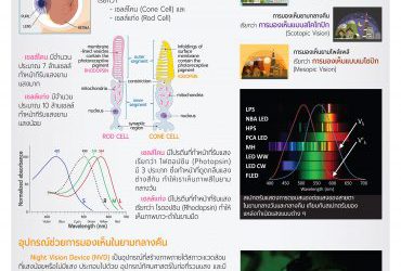 แสงกับการมองเห็น (Light and Vision)