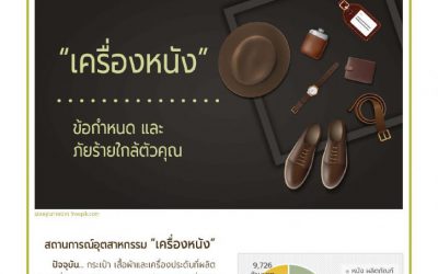 เครื่องหนัง… ข้อกำหนดและภัยร้ายใกล้ตัวคุณ