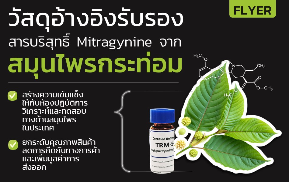 Flyer – วัสดุอ้างอิงรับรองสารบริสุทธิ์ Mitragynine จากสมุนไพรกระท่อม